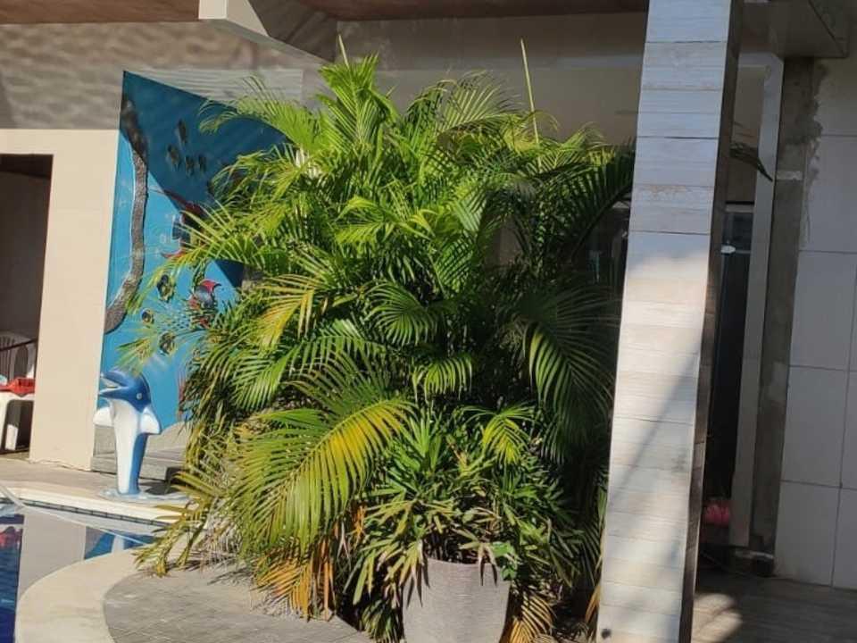 Pousada Sol Da Manha Maragogi Exterior foto